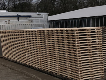 Heat Treated Pallets on our Biomass Kilns